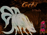 gobi 5 code